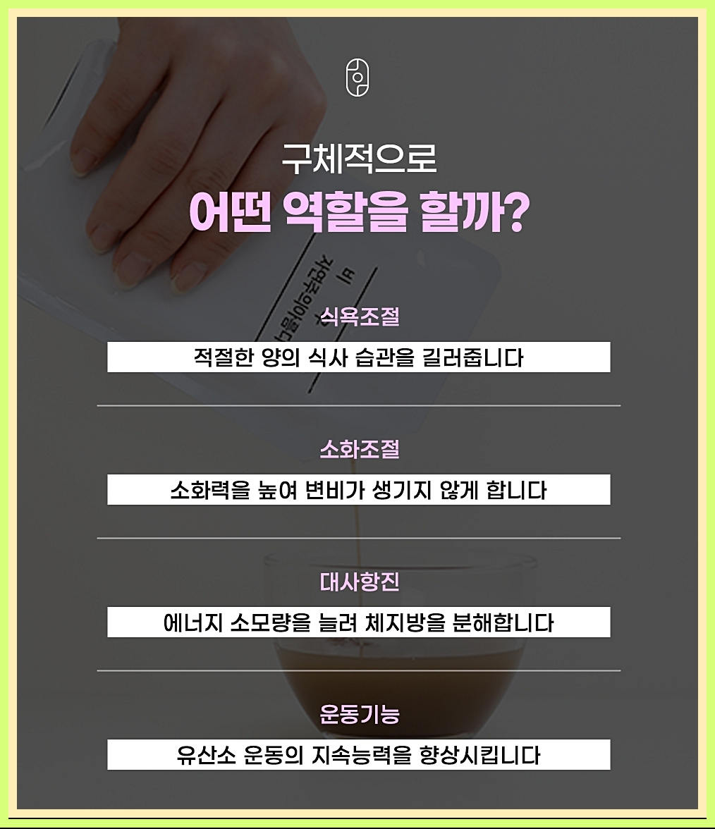 다이어트한약이 체내에서 작용하는 다양한 역할